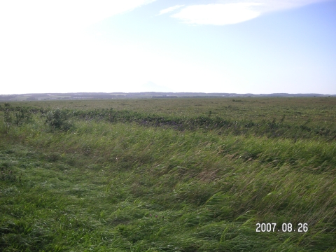 s_PICT0089.jpg